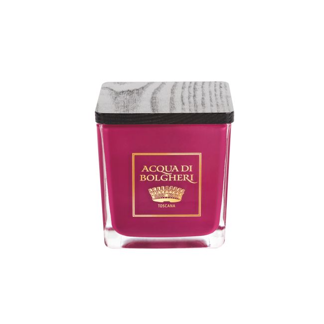 CANDELA PROFUMATA BACCHE DI VINUM 200 G - farmacia187.it