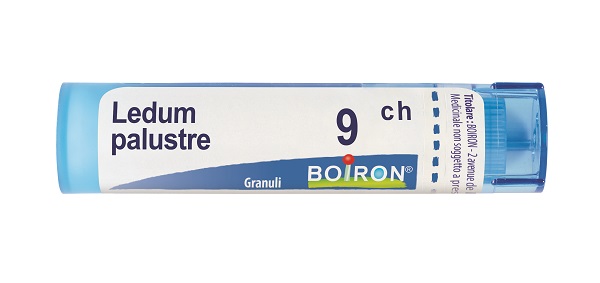 LEDUM PALUSTRE 9 CH GRANULI 4G - farmacia187.it