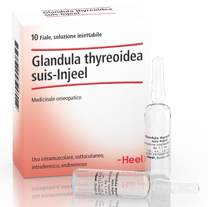 HEEL GLANDULA THYROIDEA SUIS INJEEL 10 FIALE - farmacia187.it