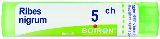 RIBES NIGRUM 5CH GRANULI - farmacia187.it