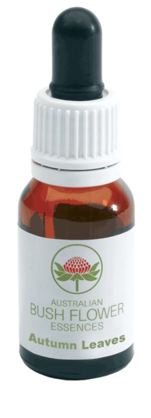 AUTUMN LEAVES GOCCE 15 ML - farmacia187.it