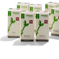 BETULLA BIANCA GEMME MACERATO GLICERICO 50 ML - farmacia187.it