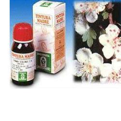 BIANCOSPINO 10 50ML TM - farmacia187.it