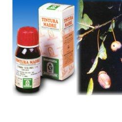QUERCIA MARI 14 50ML TM - farmacia187.it
