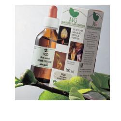 ROSA CANINA MACERATO GLICERICO 100 ML - farmacia187.it