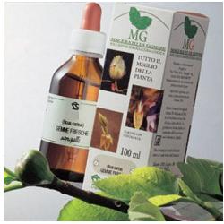 BETULLA MACERATO GLICERICO 100 ML - farmacia187.it