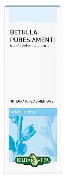 GEMMODERIVATO BETULLA PUBESCENS 50 ML - farmacia187.it