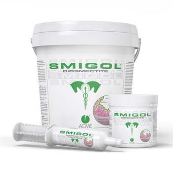 SMIGOL PASTA SIRINGA 100 G - farmacia187.it