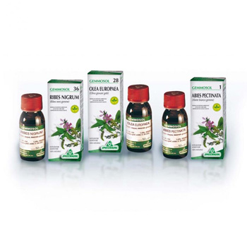 GEMMOSOL 46 TIGLIO ARGEN 50ML - farmacia187.it