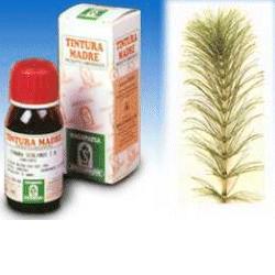 EQUISETO 12 50ML TM - farmacia187.it