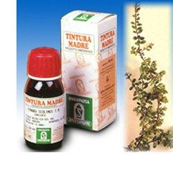 UVA URSINA 30 50ML TM - farmacia187.it