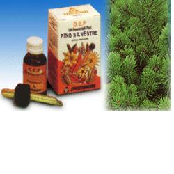 PINO SILVESTRE OLIO ESSENZIALE PURO 10 ML - farmacia187.it