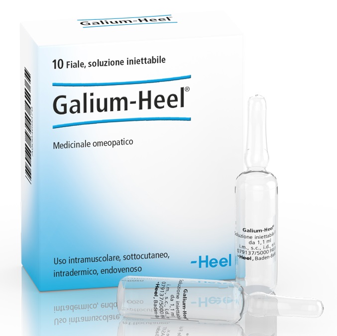 HEEL GALIUM 10 FIALE DA 1,1 ML L'UNA - farmacia187.it