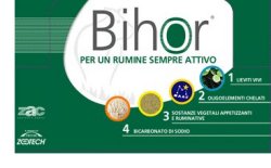 BIHOR DIET RUMINATIVO 12 BUSTE DA 125 G - farmacia187.it