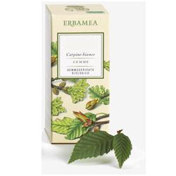 BETULA VERRUCOSA LINFA GEMMODERIVATO BIO 50 ML - farmacia187.it