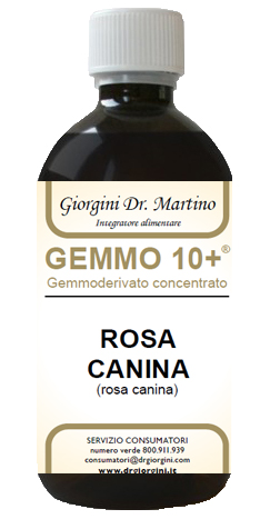GEMMO 10+ ROSA CANINA LIQUIDO ANALCOLICO 500 ML - farmacia187.it