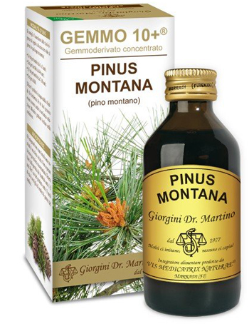 GEMMO 10+ PINO MONTANO 100 ML LIQUIDO ANALCOLICO - farmacia187.it