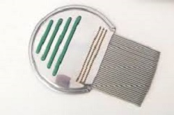 PETTINE ACCIAIO PER RIMOZIONE PIDOCCHI - farmacia187.it