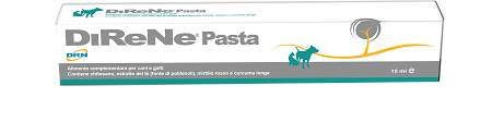 DIRENE PASTA 15 ML - farmacia187.it