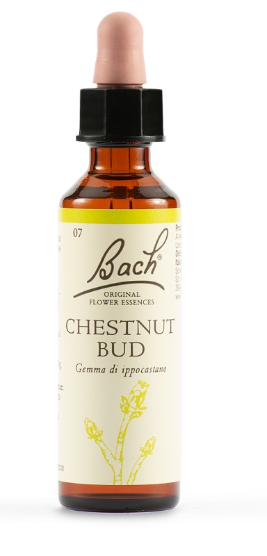 CHESTNUT BUD BACH ORIG 20 ML - farmacia187.it