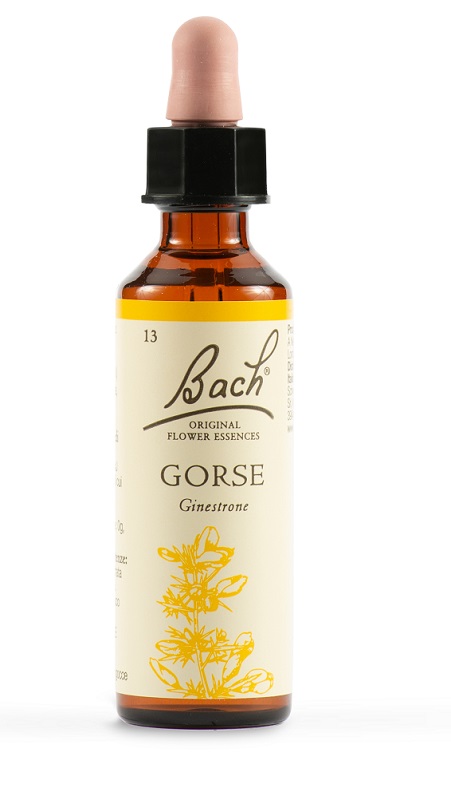 GORSE BACH ORIG 20 ML - farmacia187.it