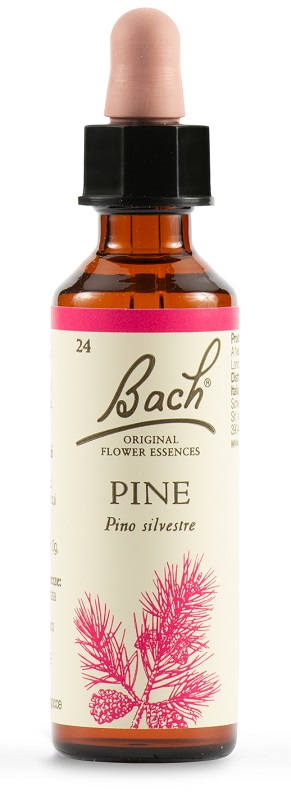PINE BACH ORIG 20 ML - farmacia187.it