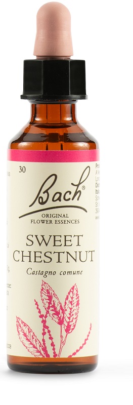 SWEET CHEST BACH ORIG 20 ML - farmacia187.it