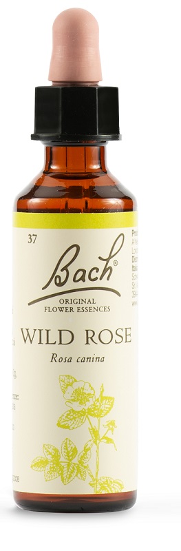 WILD ROSE BACH ORIG 20 ML - farmacia187.it