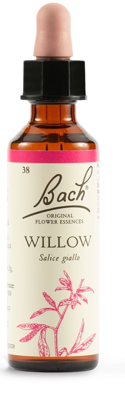 WILLOW BACH ORIG 20 ML - farmacia187.it