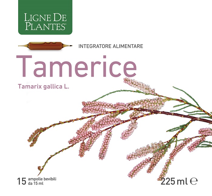 TAMERICE 15 AMPOLLE 15 ML - farmacia187.it
