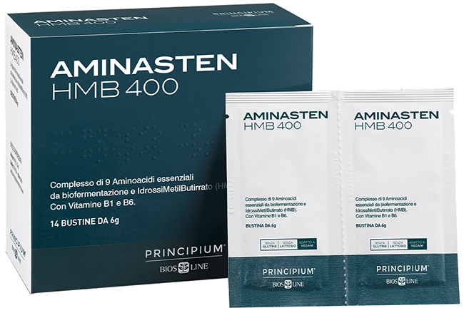 PRINCIPIUM AMINASTEN HMB400 14 BUSTINE 6 G - farmacia187.it