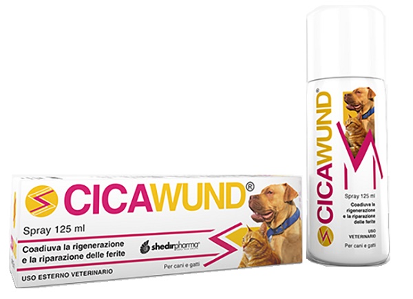 CICAWUND SPRAY 125 ML - farmacia187.it