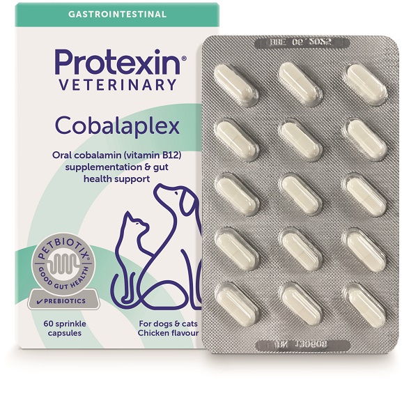 COBALAPLEX 60 CAPSULE - farmacia187.it