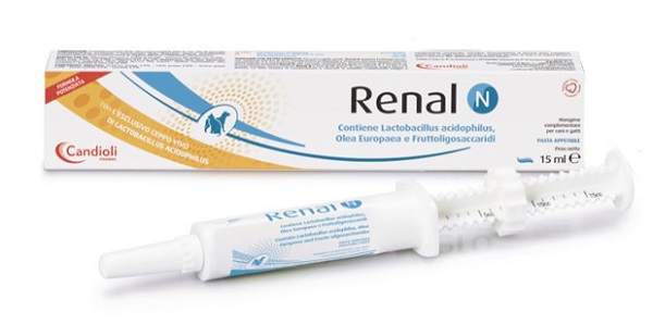 RENAL N PASTA SIRINGA DOSATRICE 15 ML - farmacia187.it