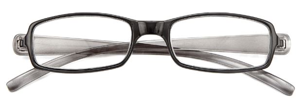 OCCHIALE DA LETTURA PREMONTATO TWINS SILVER DOUBLE +1,00 - farmacia187.it