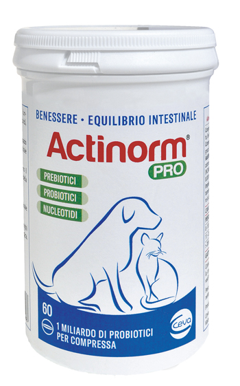 ACTINORM PRO FLACONE 60 COMPRESSE - farmacia187.it
