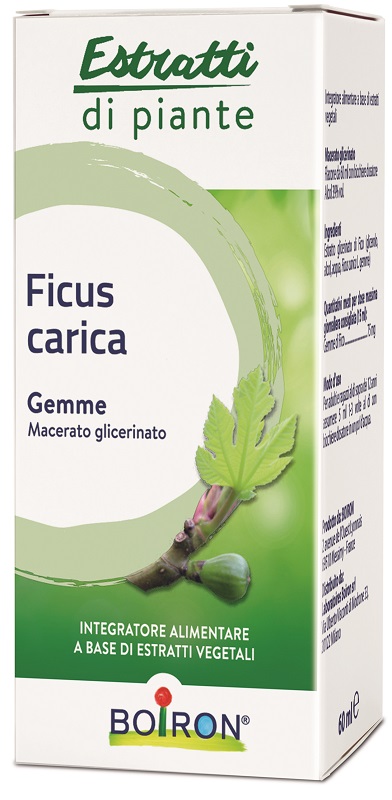 FICUS CARICA BOIRON MACERATO GLICERICO 60 ML - farmacia187.it