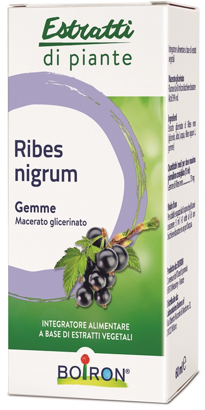 RIBES NIGRUM BOIRON MACERATO GLICERICO 60 ML - farmacia187.it