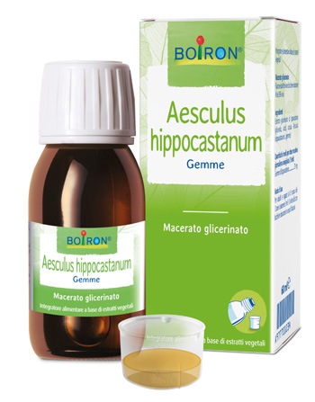 AESCULUS HIPP BOIRON MACERATO GLICERICO 60 ML - farmacia187.it