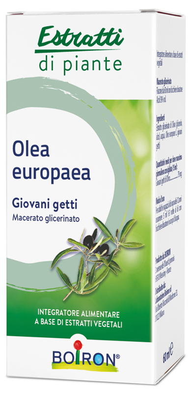 OLEA EUROPAEA BOIRON MACERATO GLICERICO 60 ML - farmacia187.it