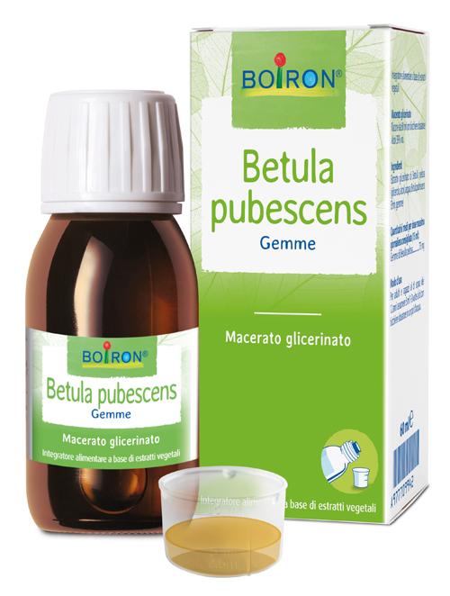 BETULA PUBESC BOIRON MACERATO GLICERICO 60 ML - farmacia187.it