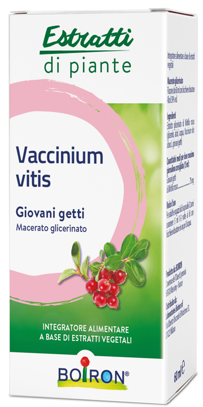 VACCINIUM VITIS MACERATO GLICERICO 60 ML - farmacia187.it