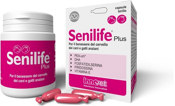 SENILIFE PLUS 60 CAPSULE - farmacia187.it