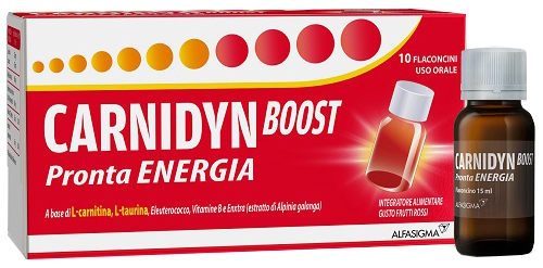 CARNIDYN BOOST 10 FLACONCINI - farmacia187.it