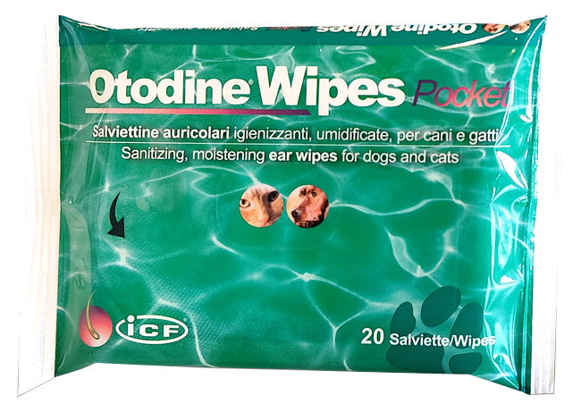 OTODINE WIPES POCKET 20 PEZZI - farmacia187.it
