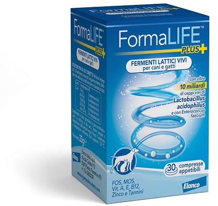 FORMALIFE PLUS FERMENTI LATTICI VIVI 30 COMPRESSE APPETIBILI - farmacia187.it