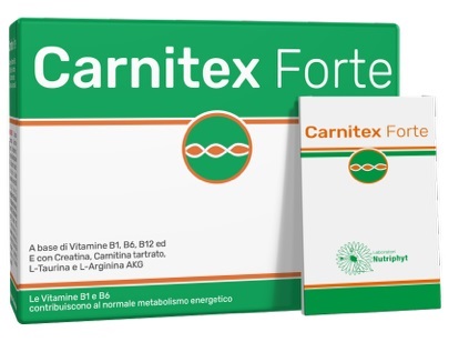 CARNITEX FORTE 14 BUSTINE - farmacia187.it