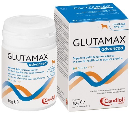 GLUTAMAX ADVANCED 30 COMPRESSE - farmacia187.it